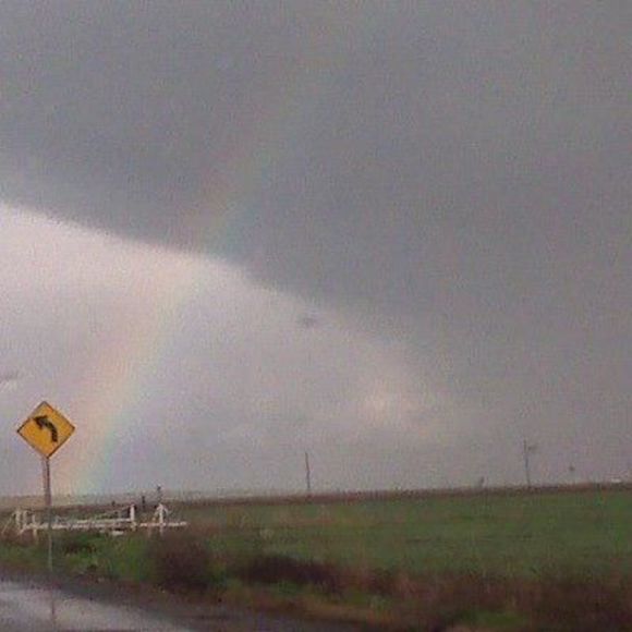 Meet your Posher, Faviola - Picture 1 of 1